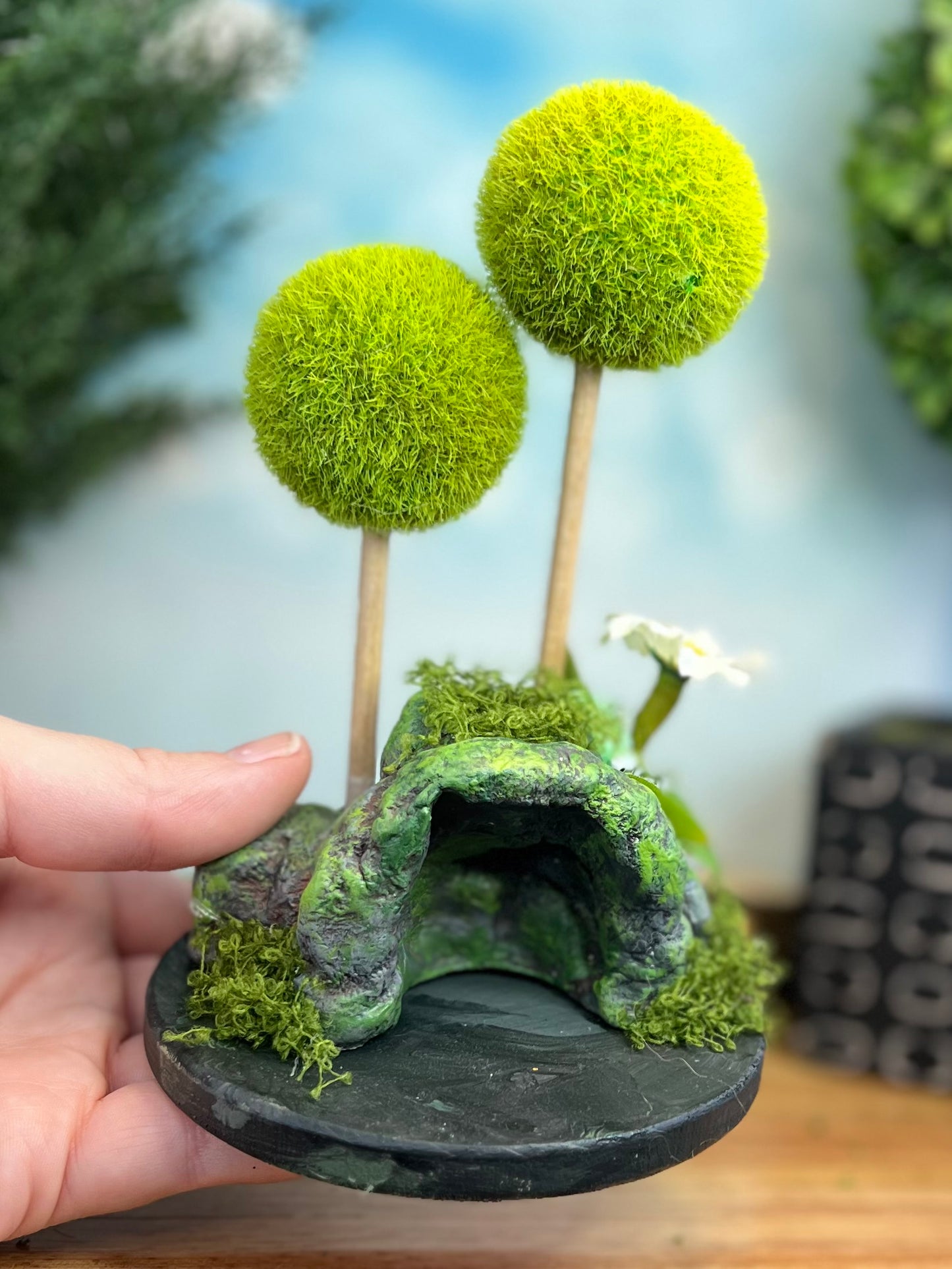 Cave Habitat (with tiny caterpillar)