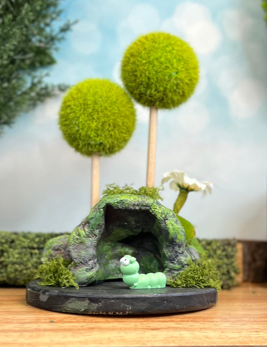 Cave Habitat (with tiny caterpillar)