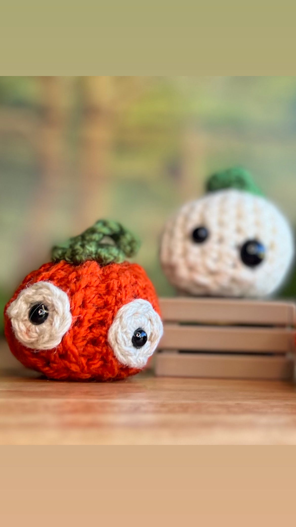 Pumpkins and Pill Bugs!