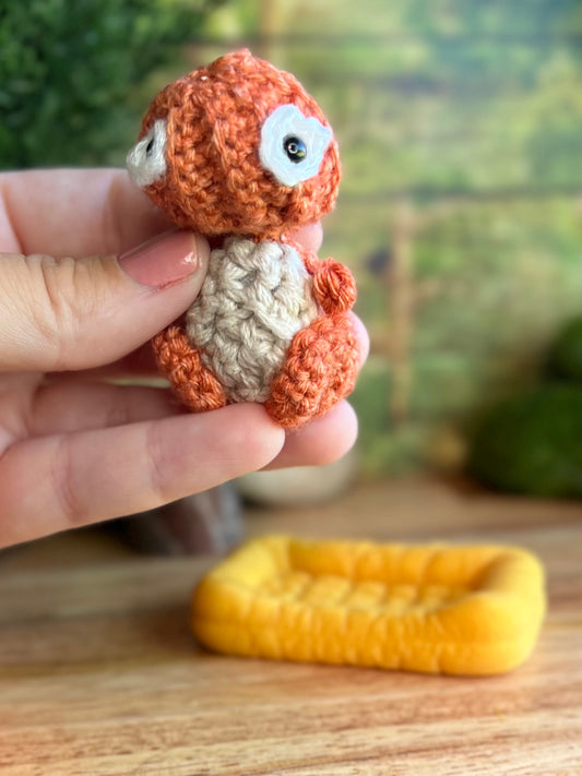 Nugget, the Litte orange friend