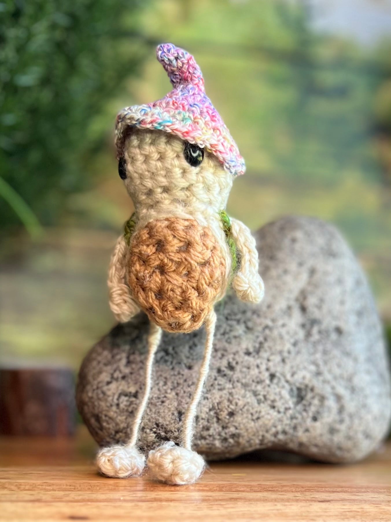 Thommas the Long Leggy Turtle