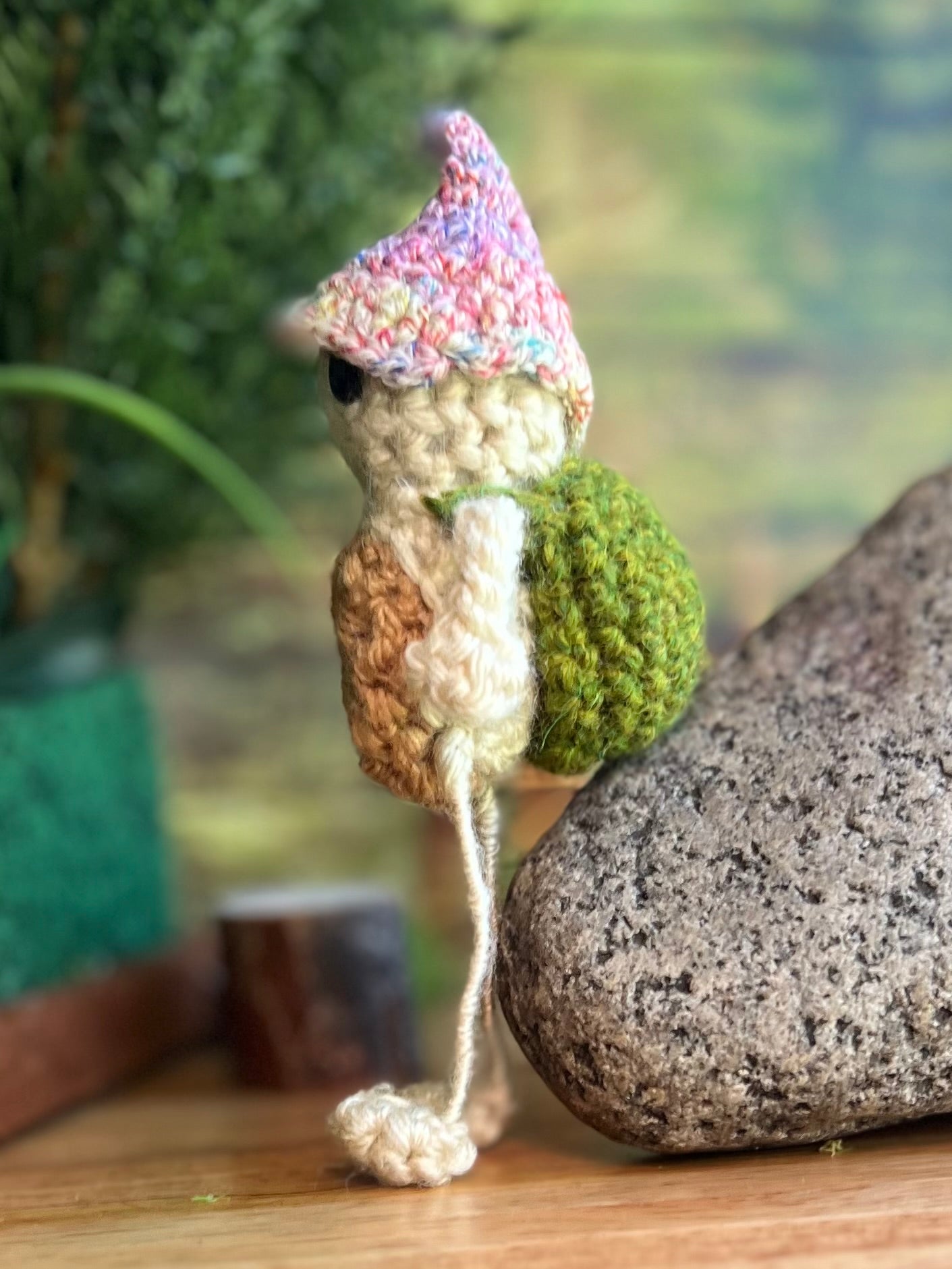 Thommas the Long Leggy Turtle