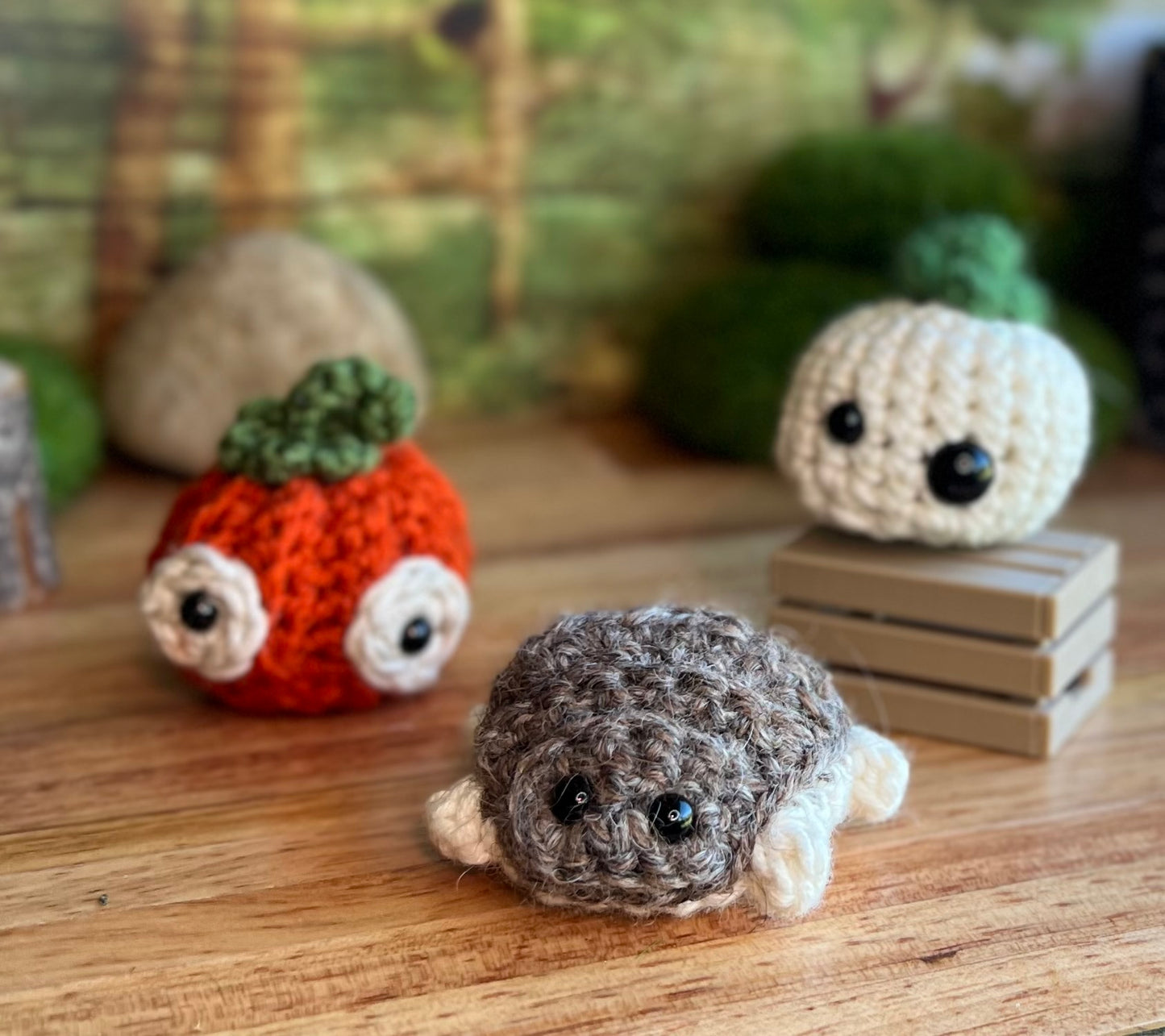 Pumpkins and Pill Bugs!