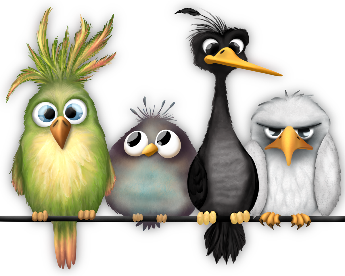 The Birds