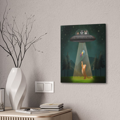 The Catnapping :Canvas Stretched, 0.75"