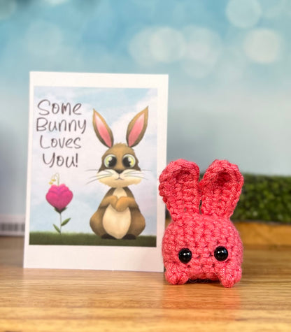 Some Bunny Loves You (Gift Set)