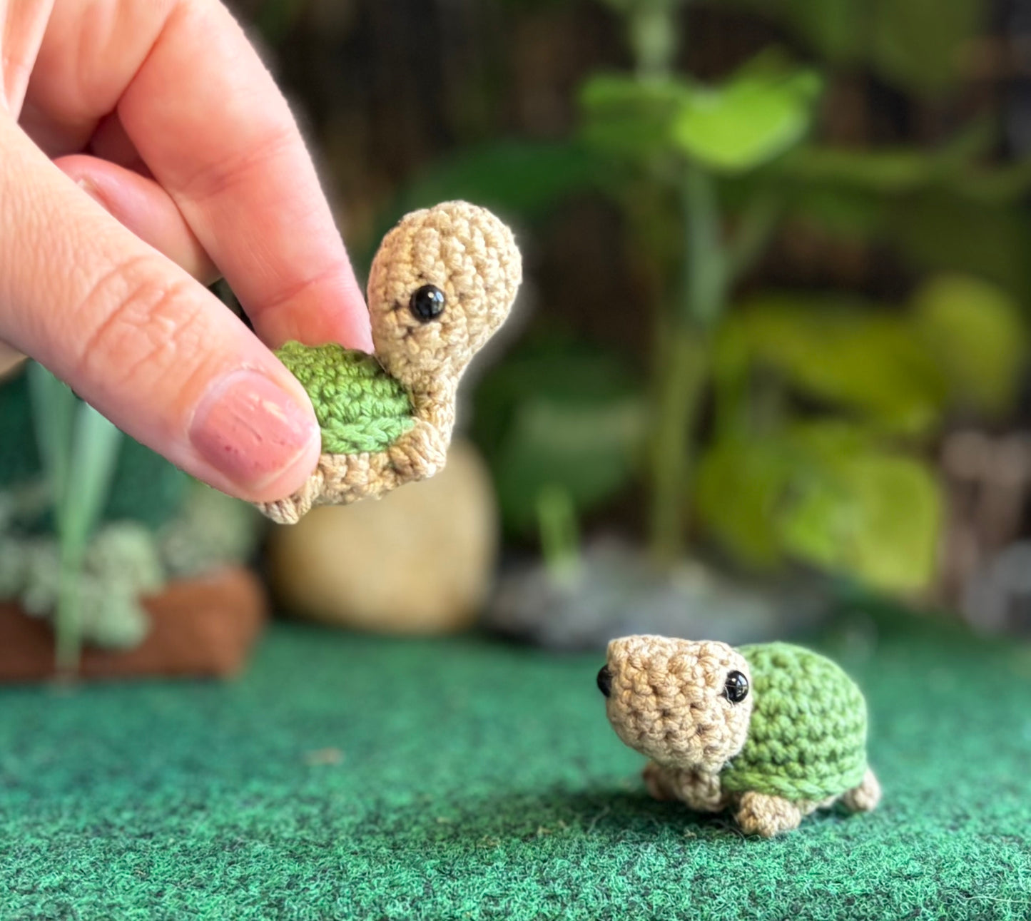 Teeny Tiny Turtles