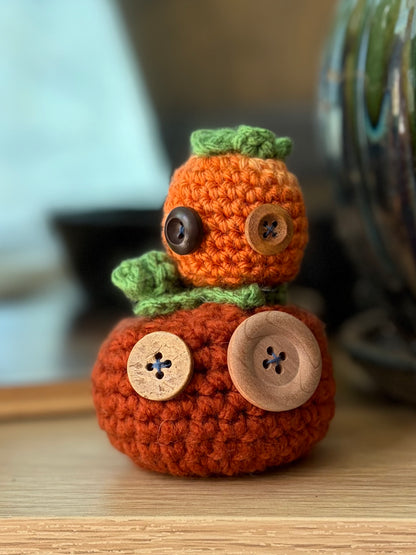 Pick your Pumpkins! (Many Sizes and Styles!)