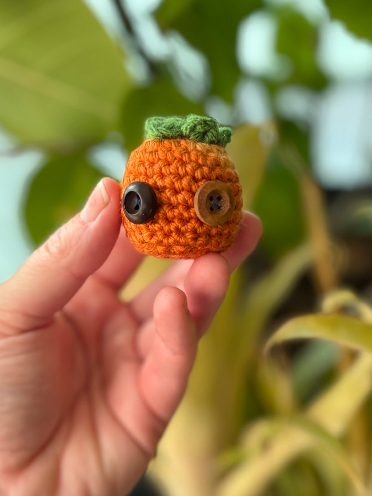 Pick your Pumpkins! (Many Sizes and Styles!)