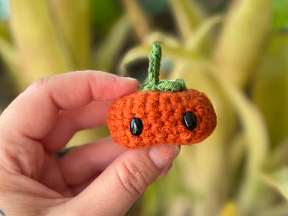 Pick your Pumpkins! (Many Sizes and Styles!)