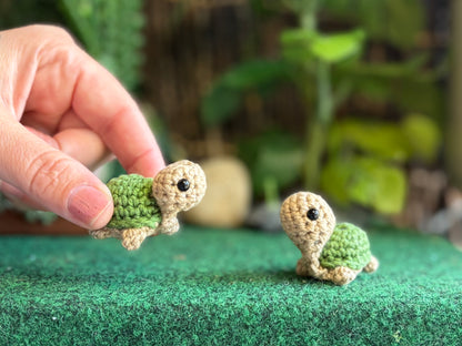 Teeny Tiny Turtles
