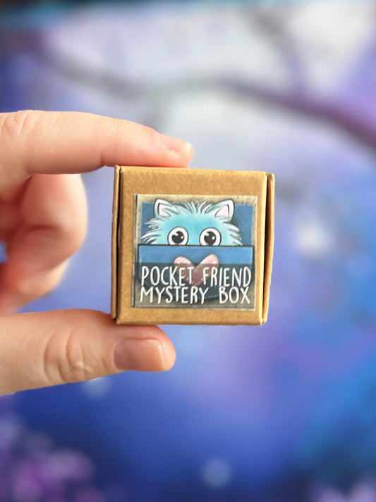 Pocket Friend Mystery Box