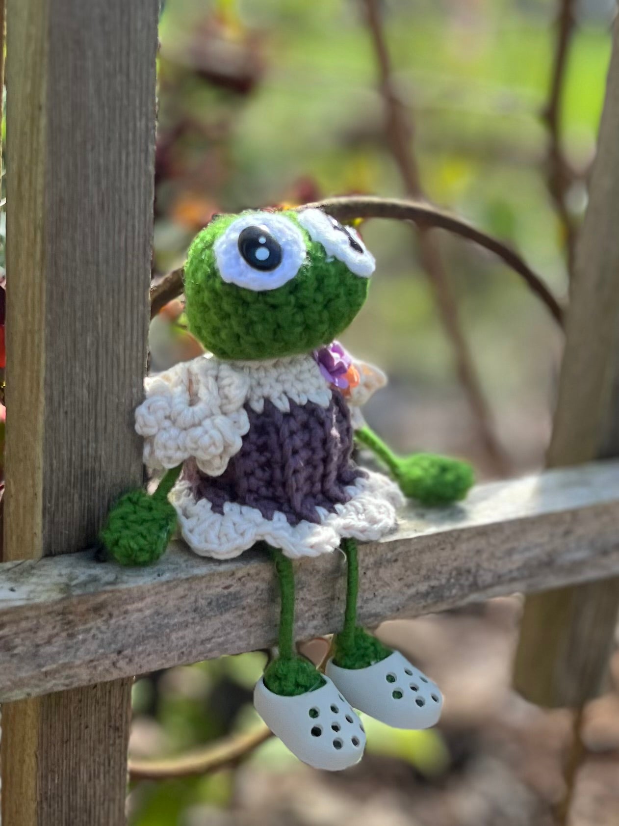 Frogella the Wishfull