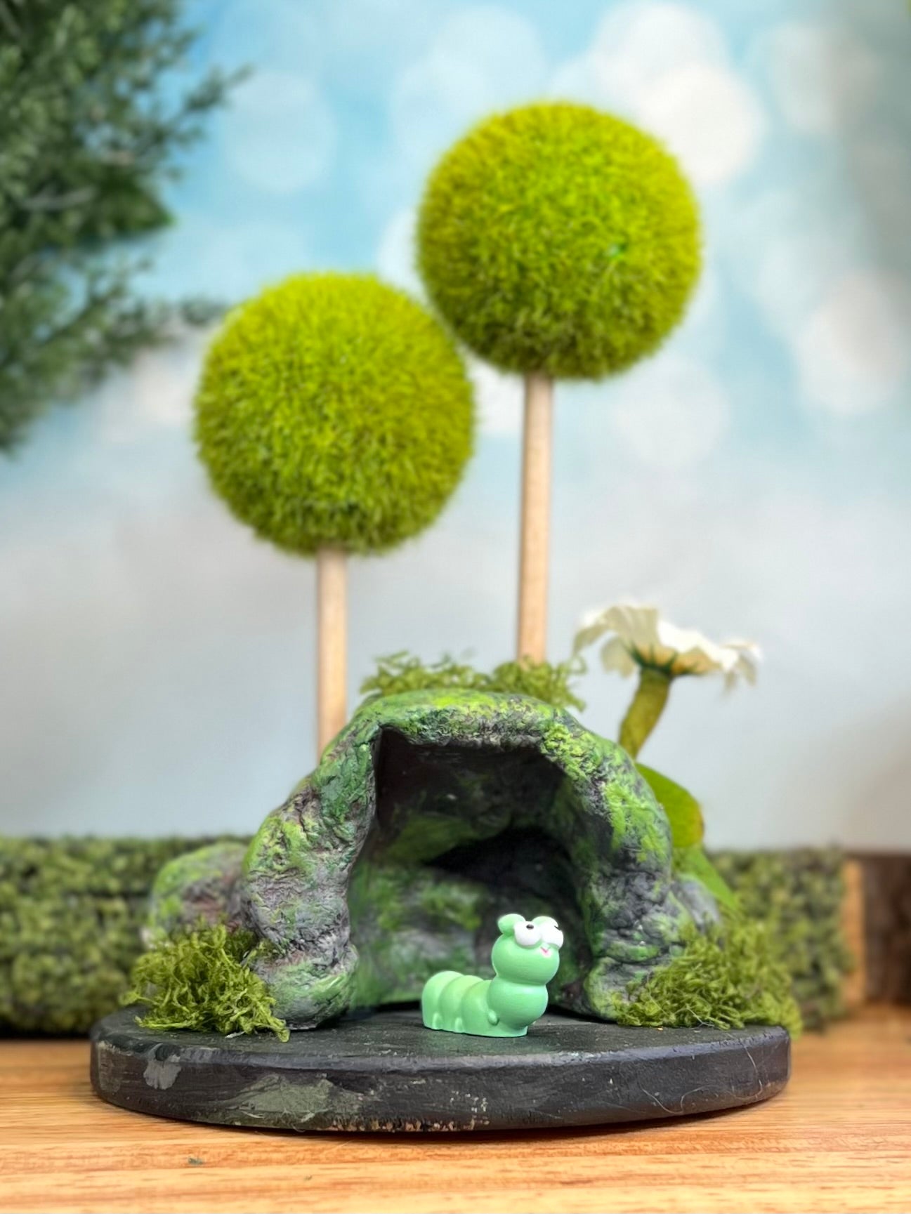 Cave Habitat (with tiny caterpillar)