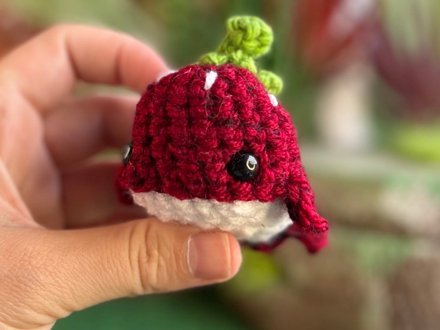 Watermelon Whale