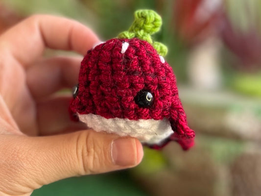 Watermelon Whale