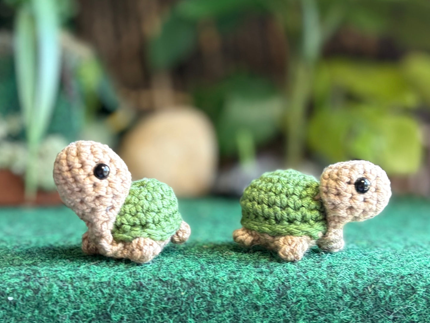 Teeny Tiny Turtles