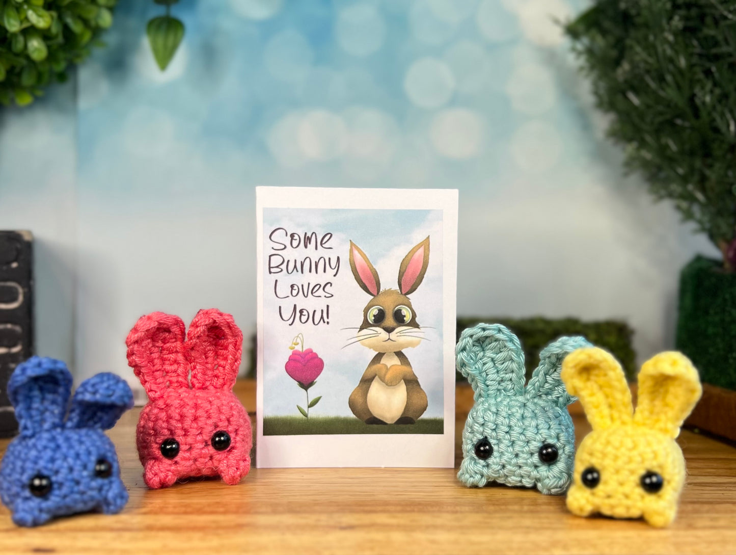 Some Bunny Loves You (Gift Set)