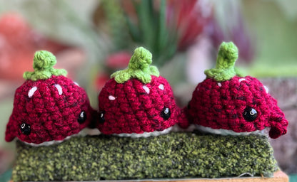 Watermelon Whale