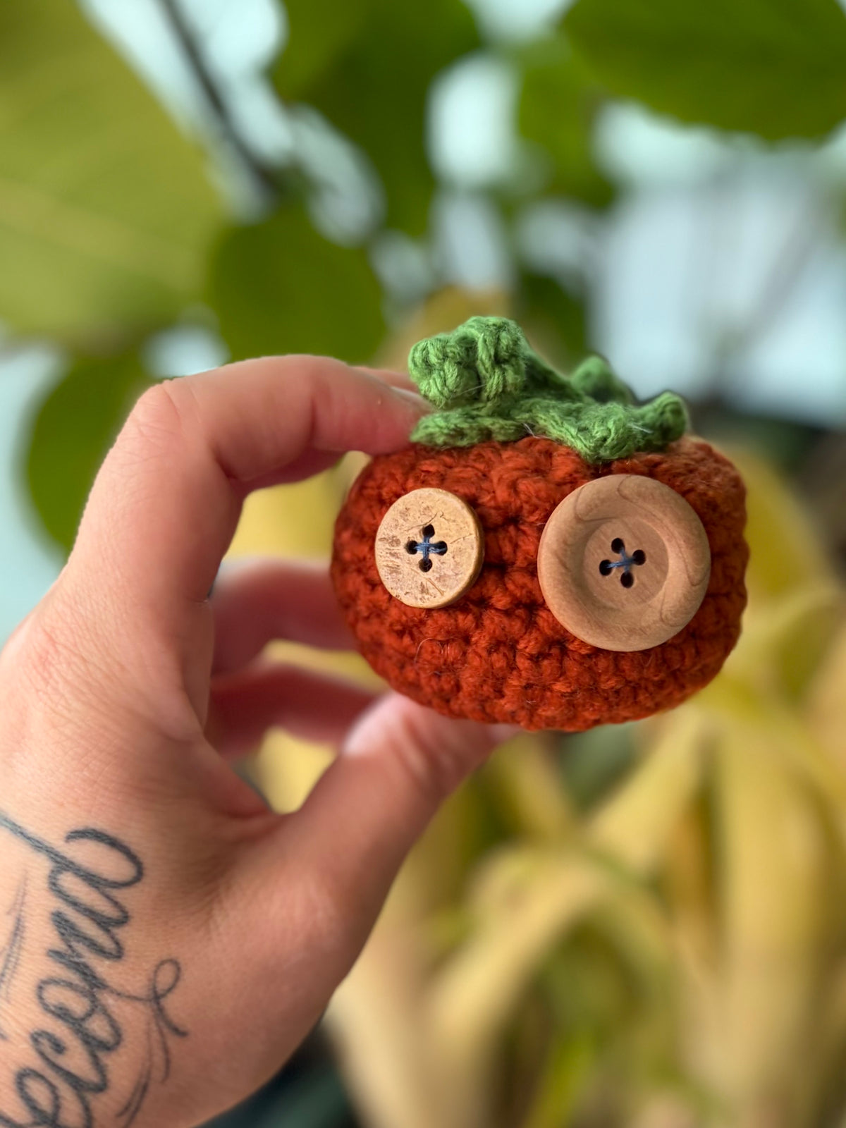 Pick your Pumpkins! (Many Sizes and Styles!)