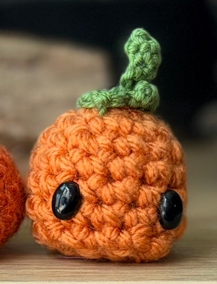 Pick your Pumpkins! (Many Sizes and Styles!)