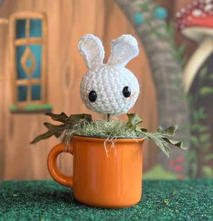 Potted Bunny plant