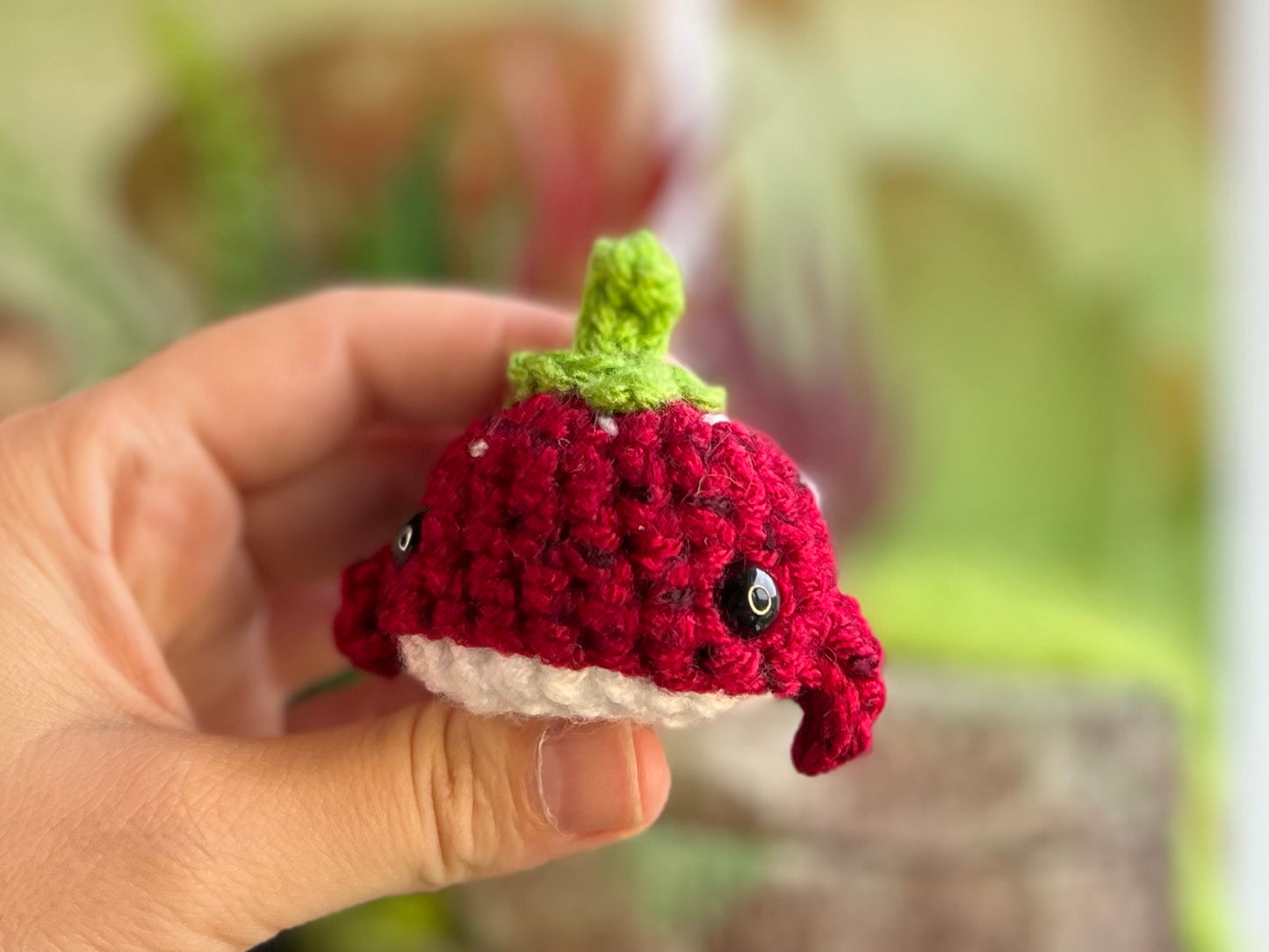 Watermelon Whale