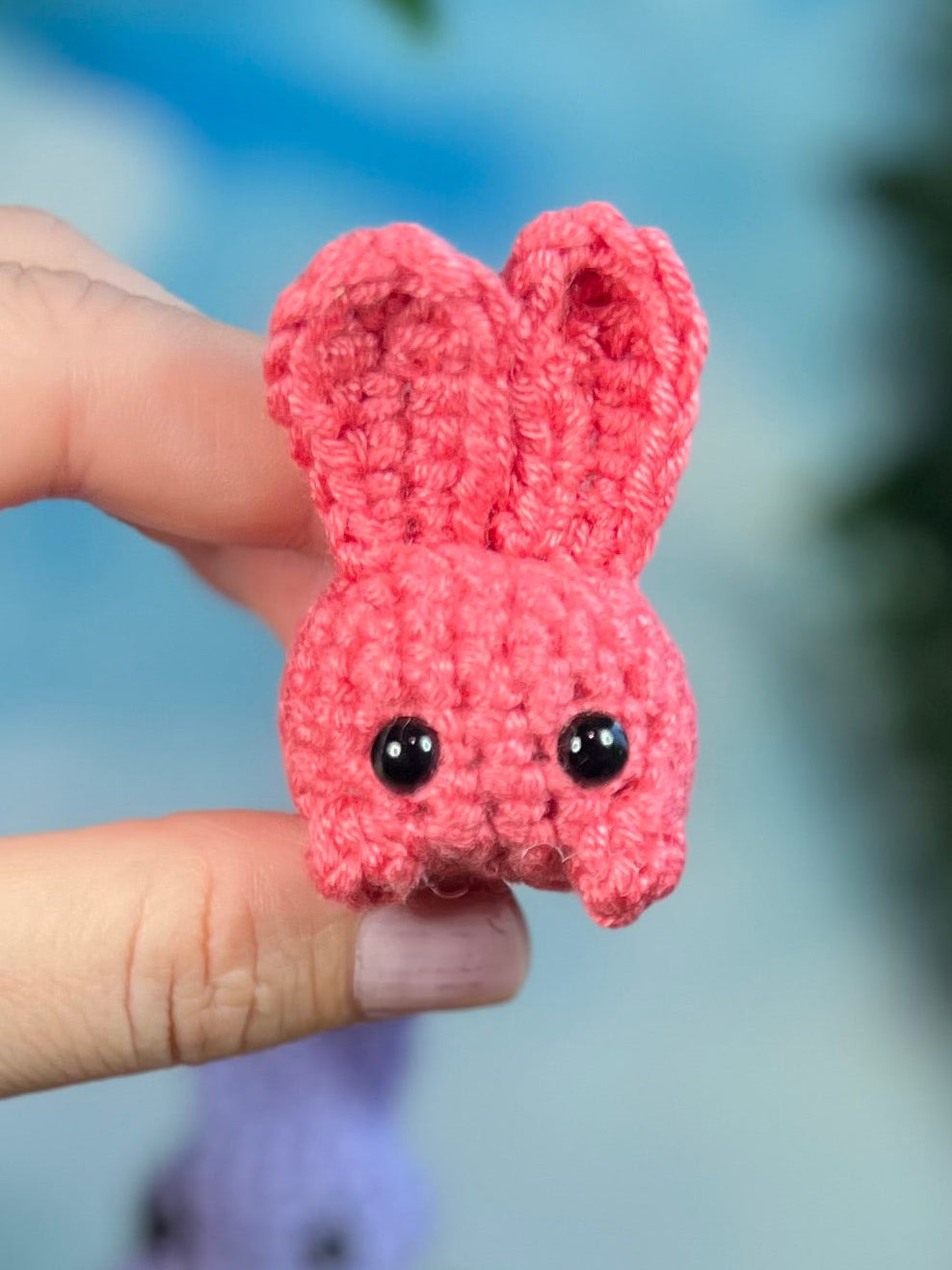 Some Bunny Loves You (Gift Set)