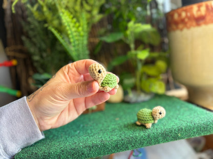 Teeny Tiny Turtles