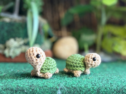 Teeny Tiny Turtles
