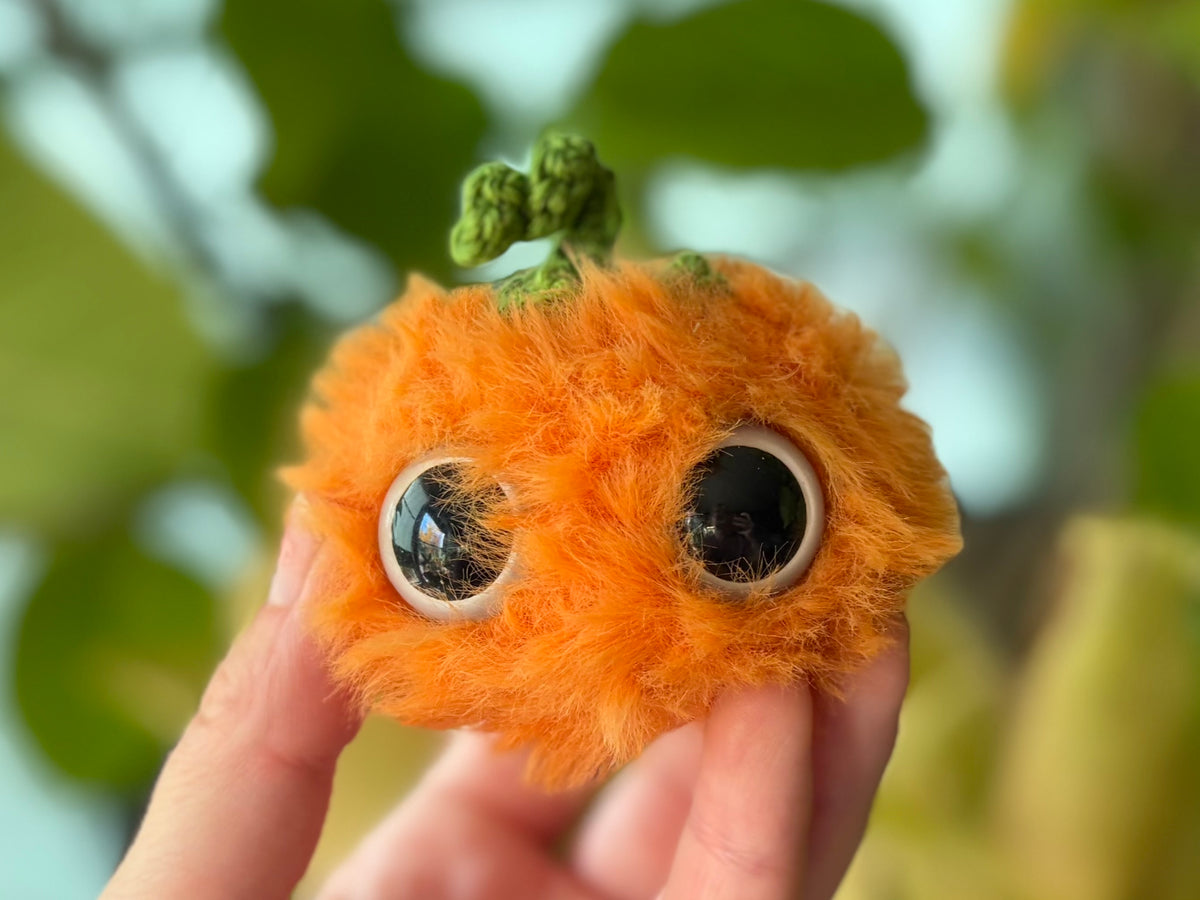 Pick your Pumpkins! (Many Sizes and Styles!)
