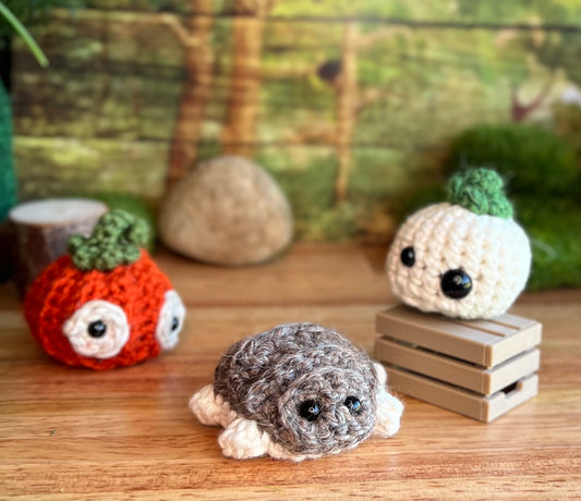 Pumpkins and Pill Bugs!