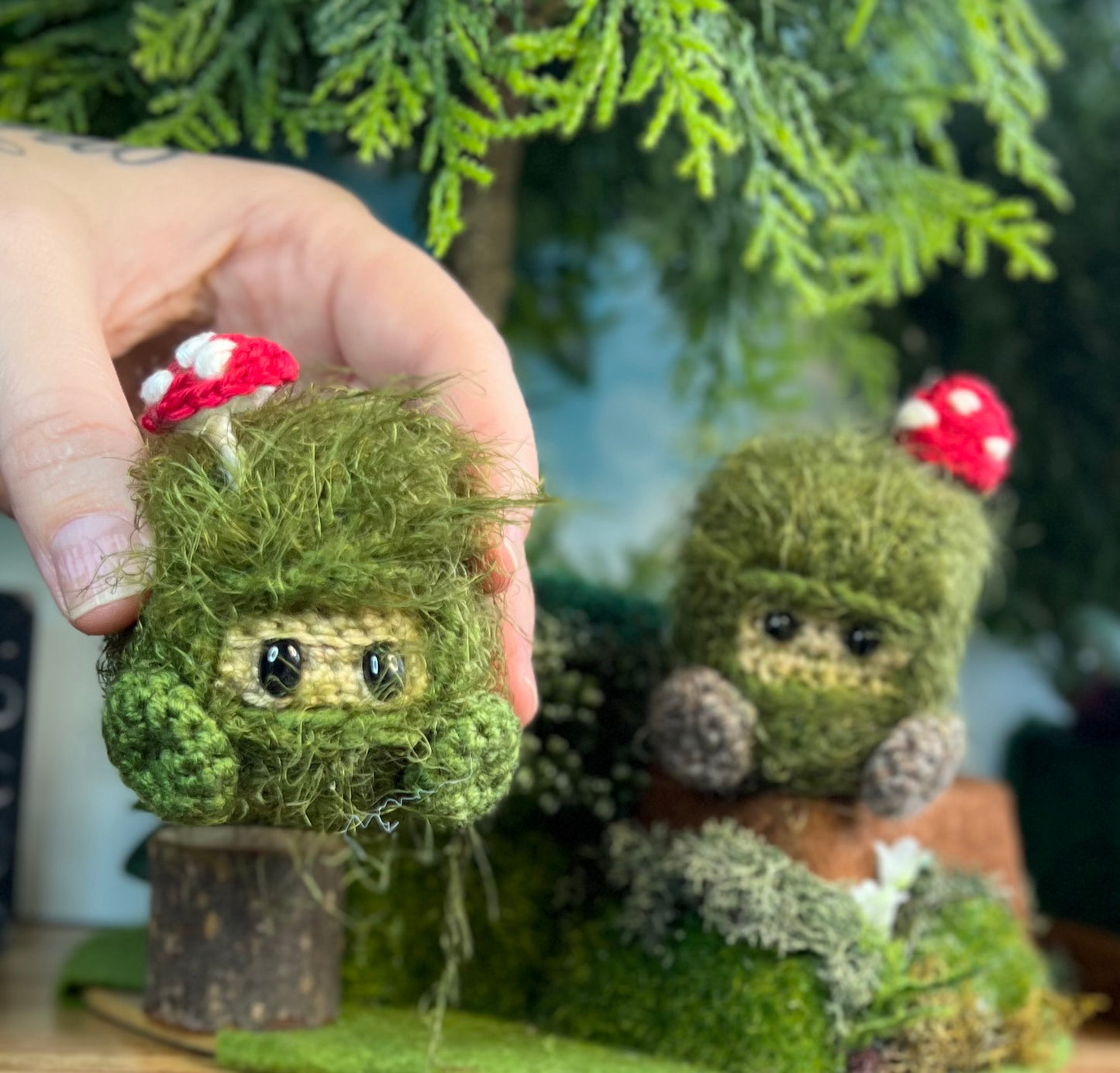 Mossy Friends